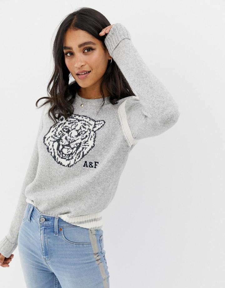 Abercrombie & Fitch Tiger Knit Sweater - Gray