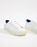 Lacoste Leather Sneakers In White