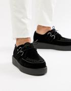 T.u.k Vegan Platform Creepers In Black Velvet - Navy