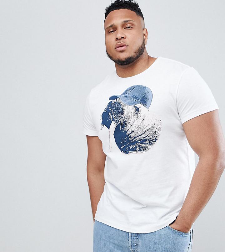 Blend Plus Walrus T-shirt - White