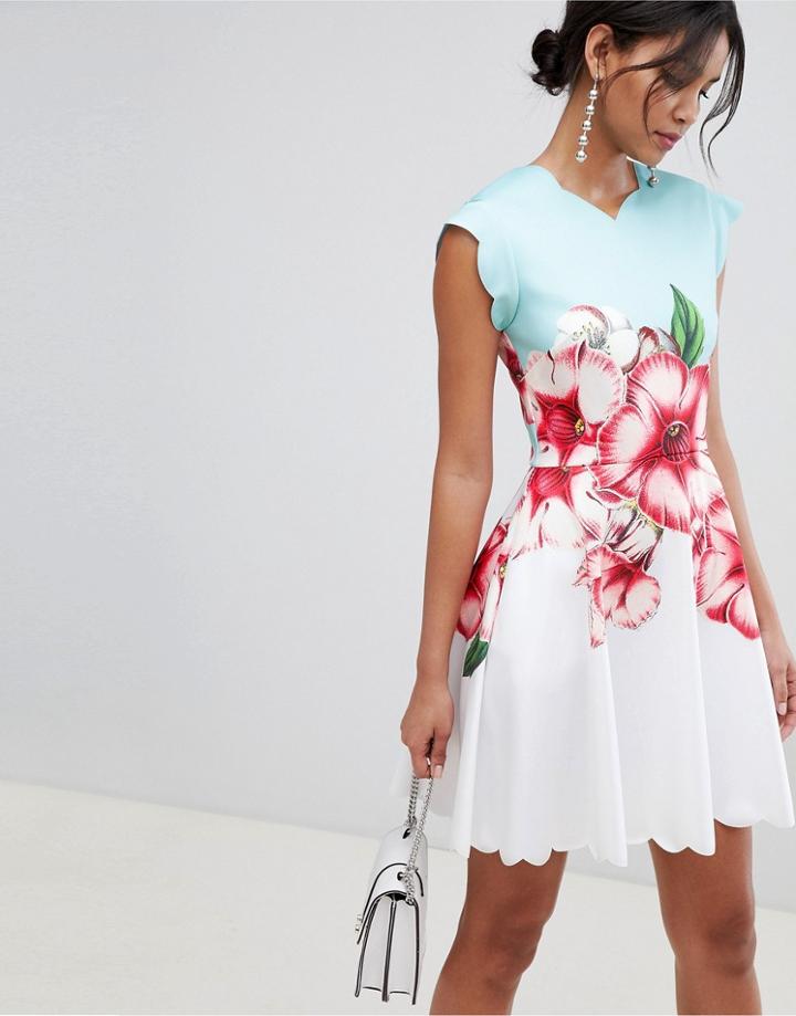 Ted Baker Scalloped Skater Dress In Nectar Print - Green