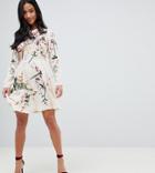 Asos Design Petite Mini Dress With Pretty Floral And Bird Embroidery - Pink