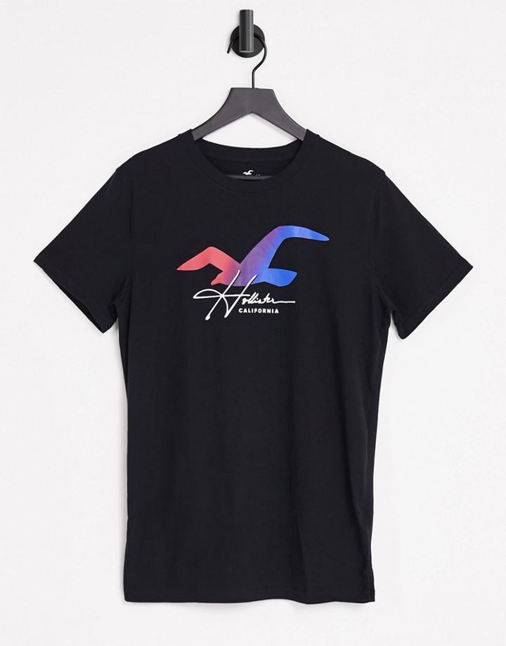 Hollister Ombre Seagull Logo T-shirt In Black