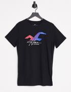 Hollister Ombre Seagull Logo T-shirt In Black