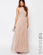 Maya Tall High Neck Maxi Tulle Dress With Tonal Delicate Sequins - Mink