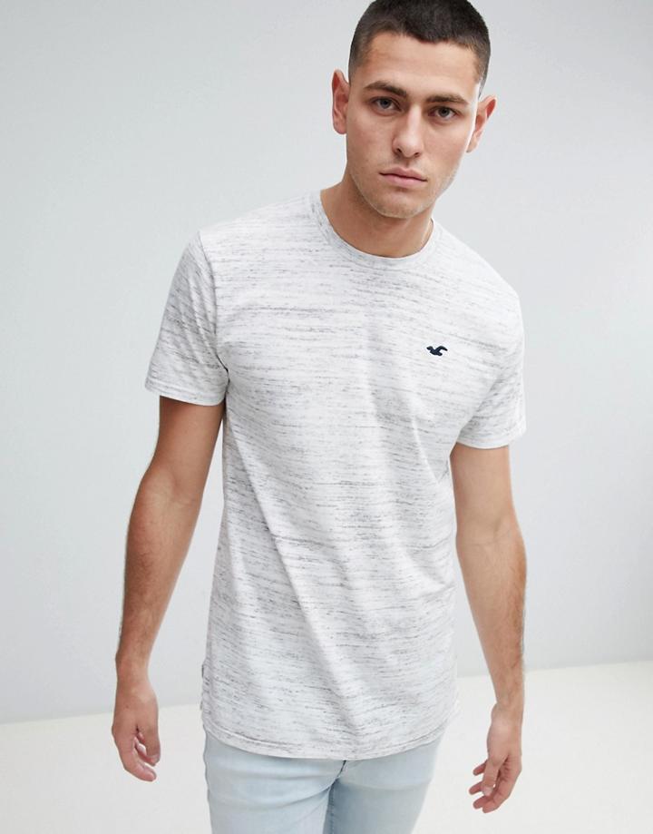 Hollister Longline Crewneck T-shirt Seagull Logo In White - White