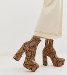 Office Exclusive Another Level Brown Snake Platform Heeled Ankle Boots