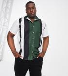 Le Breve Plus Stripe Camp Collar Shirt In Green Black White