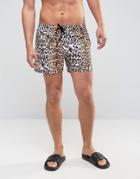 Asos Swim Shorts With Leopard Print In Short Length - Multi