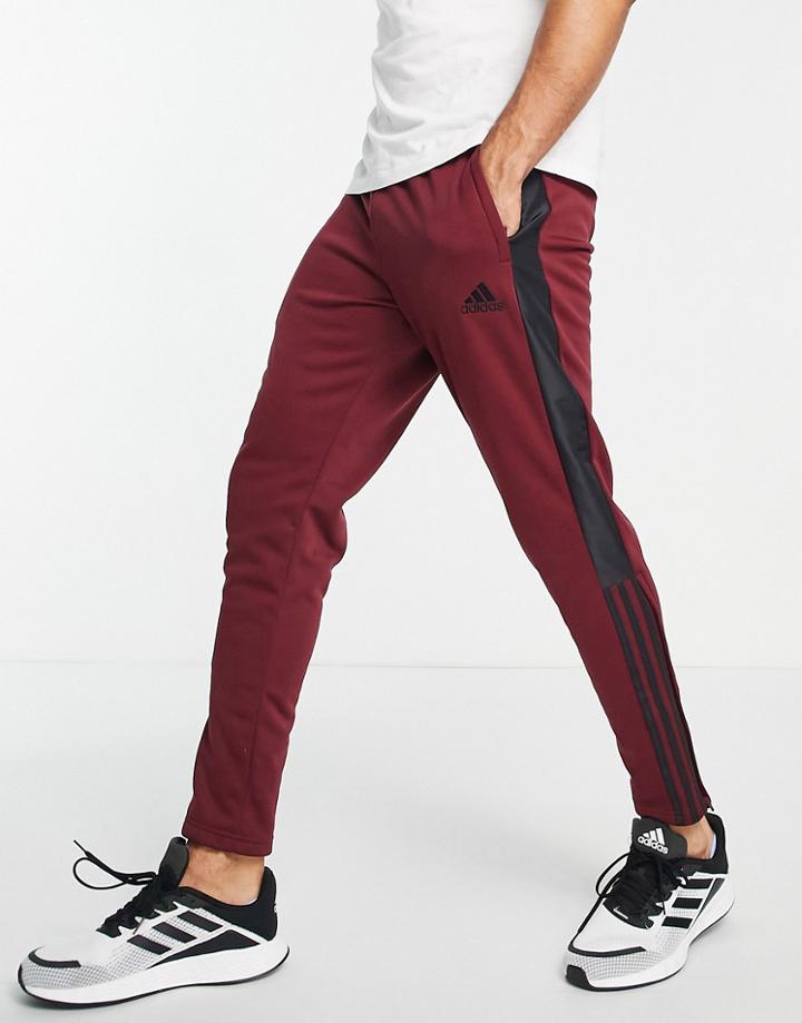 Adidas Soccer Tiro Sweatpants In Burgundy-red