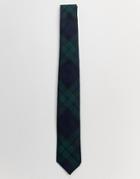 Twisted Tailor Tie In Green Check - Green