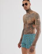 Religion Two-piece Shorts In Blue Leopard Print