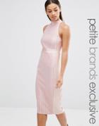 Naanaa Petite Highneck Sleeveless Pencil Dress - Blush