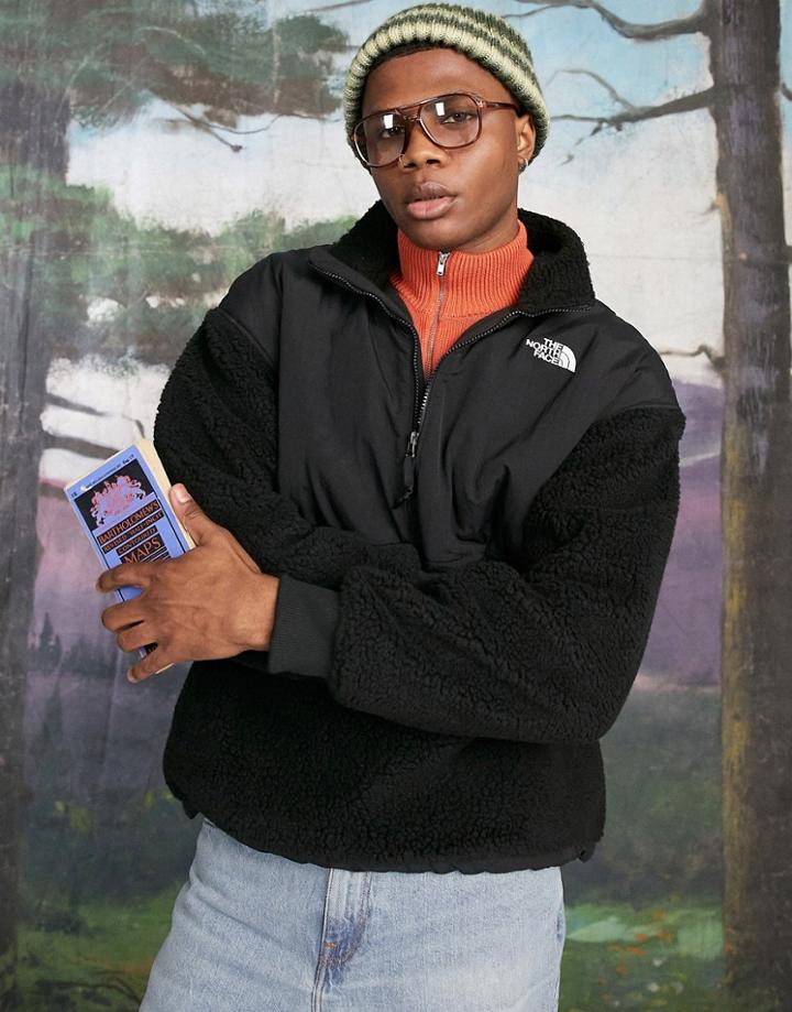 The North Face Platte Sherpa 1/4 Fleece In Black