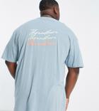 Threadbare Plus Oversized Logo Back Print T-shirt In Duck Egg Blue