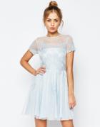 Asos Salon Lace Applique Mesh Mini Skater Dress - Blue