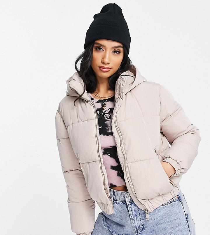 Miss Selfridge Petite Short Hooded Puffer Jacket In Mink-white