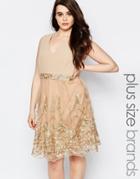 Lovedrobe Plus Skater Dress With Lace Border - Truffle