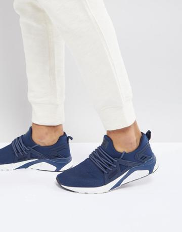 Certified London Knitted Sneakers In Navy - Navy