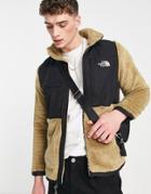 The North Face Black Box Denali Sherpa Fleece Jacket In Brown