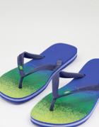Havaianas Brazil Fresh Flip Flops In Ombre Multi