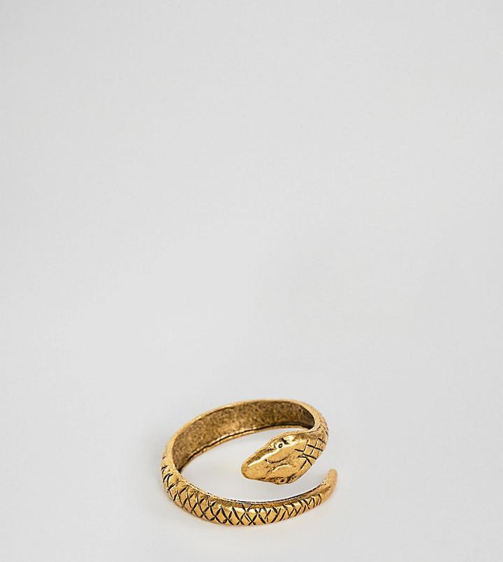Regal Rose Lucifer Gold Plated Snake Wrap Around Adjustable Ring - Gold