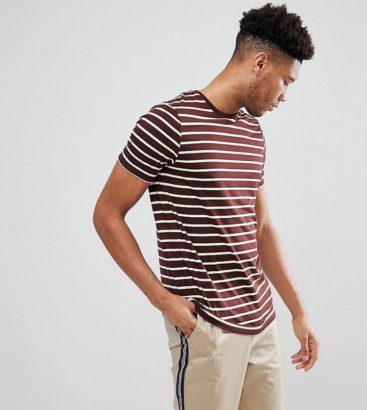 Asos Design Tall Stripe T-shirt In Burgundy And White - Red