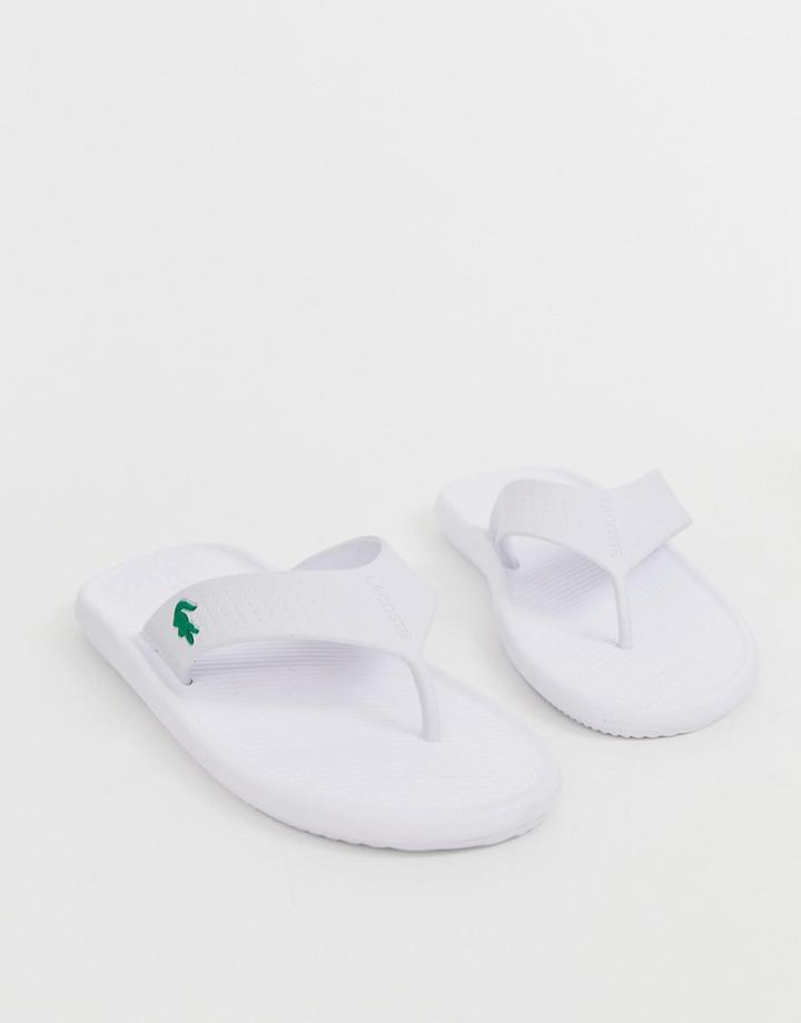 Lacoste Croco Flip Flops In White