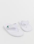 Lacoste Croco Flip Flops In White