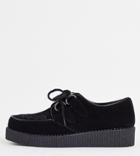 Truffle Collection Wide Fit Lace Up Creeper Shoes In Black Micro Suede