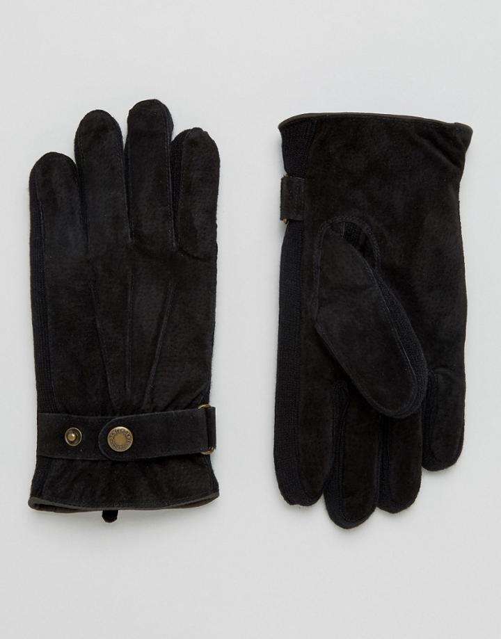 Dents Chester Suede Gloves In Black - Black