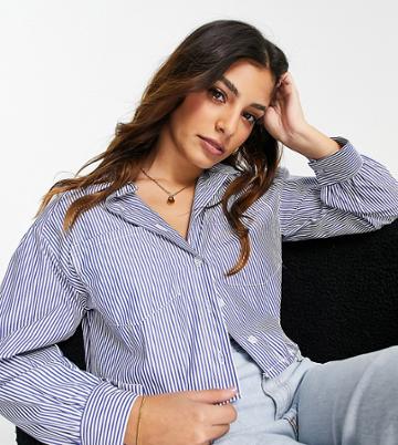 I Saw It First Petite Cropped Shirt In Blue-blues