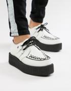 T.u.k Platform Creepers In White Leather - White