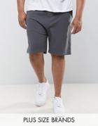 Another Influence Plus Basic Peached Jersey Shorts - Gray