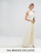 Maya Tall High Neck Maxi Tulle Dress With Tonal Delicate Sequins - Cream