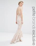 Jarlo Petite Halter Maxi Dress With Strapy Back Detail In All Over Pretty Lace - Nude
