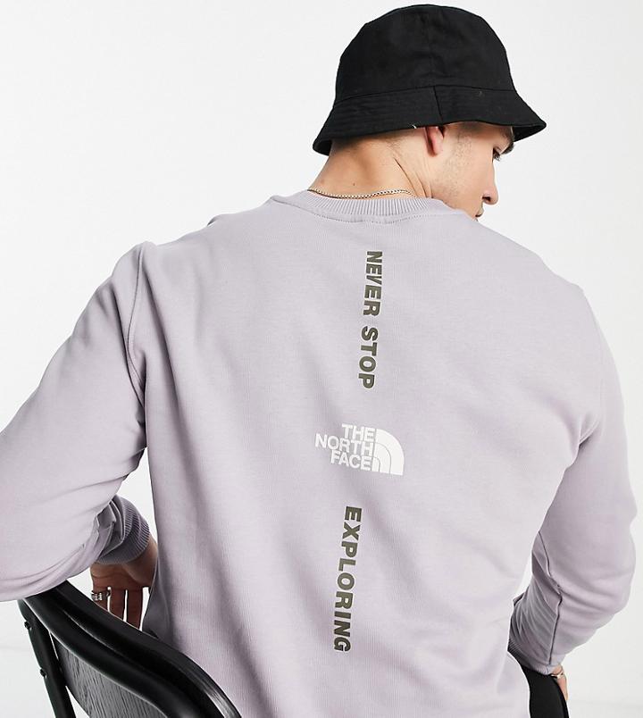 The North Face Vertical Long Sleeve T-shirt In Gray Exclusive At Asos