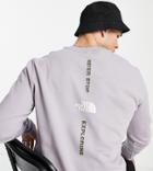 The North Face Vertical Long Sleeve T-shirt In Gray Exclusive At Asos