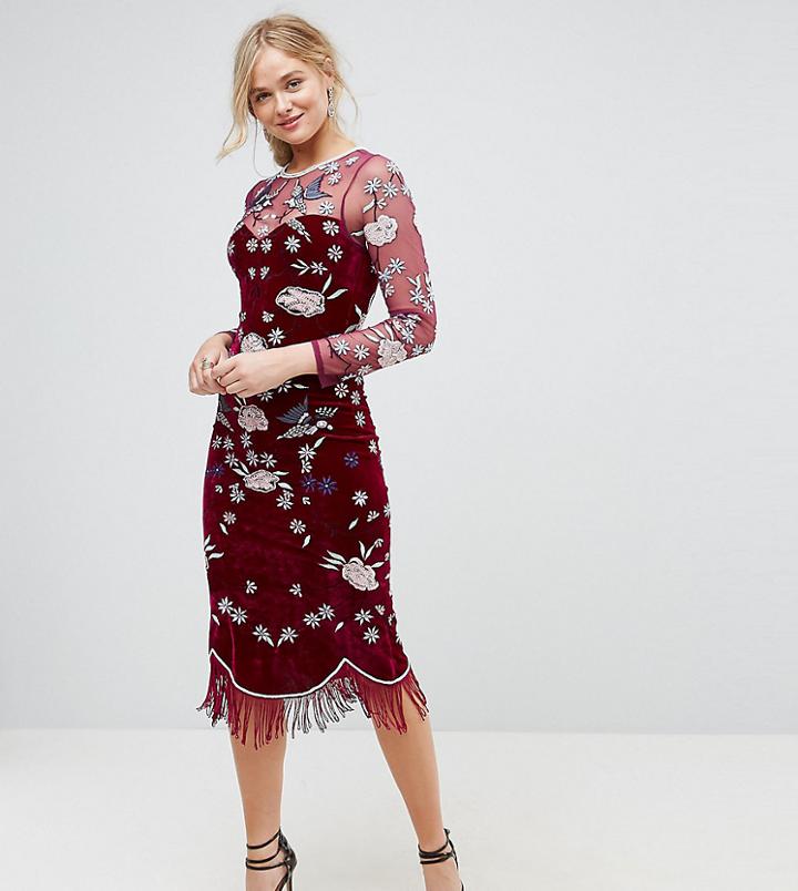Frock And Frill Tall Allover Premium Embellished Velvet Pencil Dress With Beaded Hem - Red