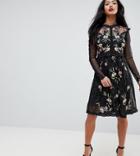 Frock And Frill Petite Floral Premium Embroidered Metallic Tulle Skater Dress - Black