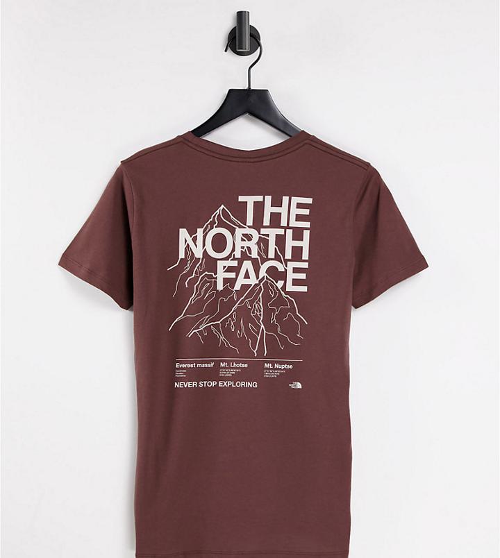 The North Face Mountain Outline T-shirt In Brown Exclusive At Asos