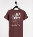 The North Face Mountain Outline T-shirt In Brown Exclusive At Asos
