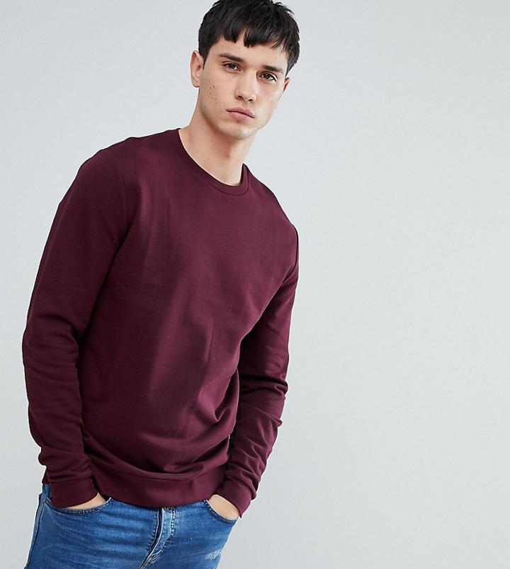 Asos Tall Sweatshirt In Burgundy - Red