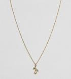 Asos Gold Plated Sterling Silver Hanging Rose Charm Necklace - Gold