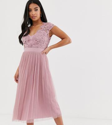 Little Mistress Petite Capped Sleeve Lace Midi Dress With Tulle Skirt-pink