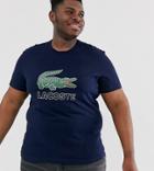 Lacoste Large Chest Logo T-shirt In Navy