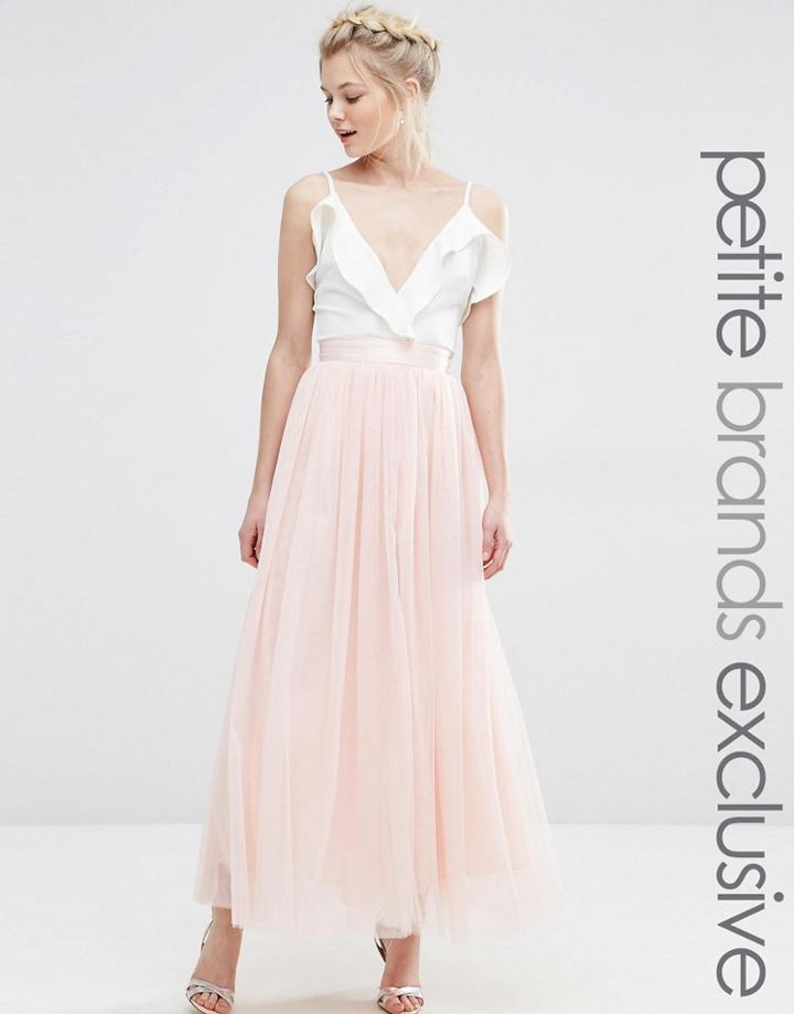 True Decadence Petite All Over Mesh Full Skirt - Peach