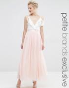 True Decadence Petite All Over Mesh Full Skirt - Peach