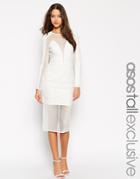 Asos Tall Premium Lace Mesh Body-conscious Dress - White