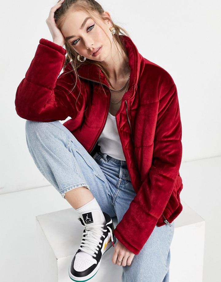 Native Youth Velvet Padded Jacket In Burgundy-red